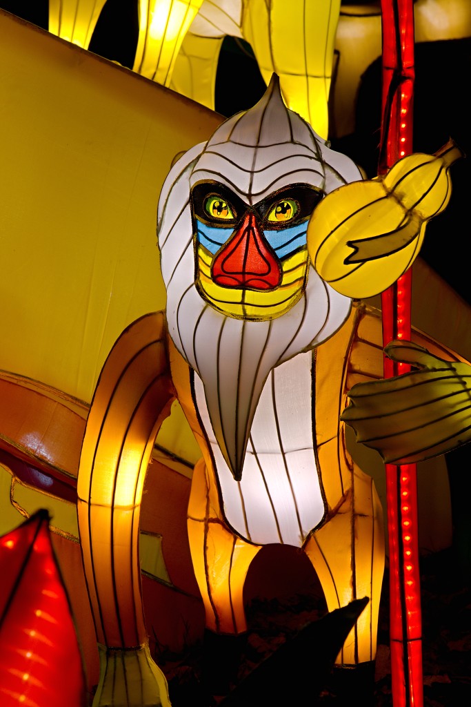 china light licht festival lichtshow show festiviteit glow evenement event chinees chinese verlichting draak dragon lichtfestival zoo